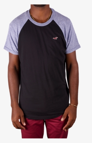 Hollister Logo Png