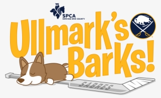 Buffalo Sabres Goaltender Linus Ullmark Has Teamed