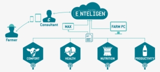 Dairy Enteligen, How It Works