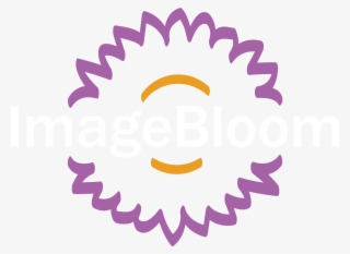 Imagebloom Marketing Clinical Research Medical Industry