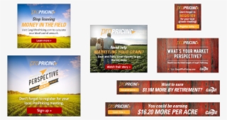 By Donnie Potter June 10,