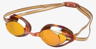 Speedo Maroon And Gold Vanquisher