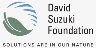 Dsf Logo Rgb