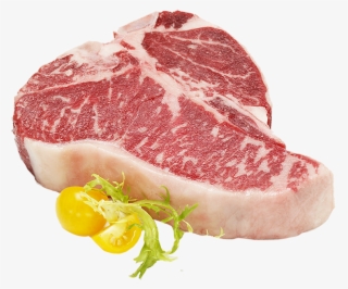 T Bone