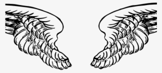 Black And White Wings
