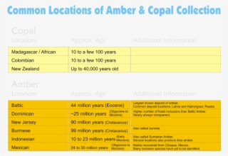 Copal And Amber Are Found In A Number Of Locations