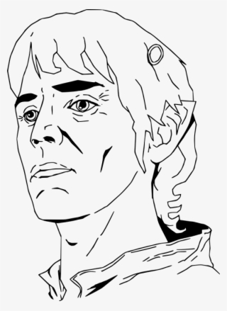 Archer, Bowman, Elf, Fantasy