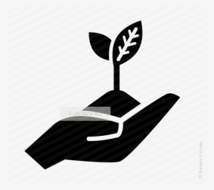 Growth Vector Png Transparent Download - Growth Icon Vector