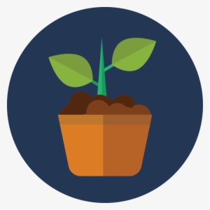 Growth