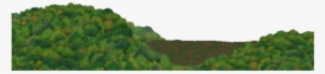 Temperate Forest Background - Forest Background Hd Png