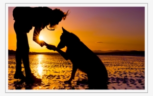 Through Most Of The History Of Photography, Lens Flare - Dog And Girl Beach