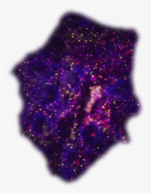 How We Propelled A New Rna Detection Technology - Advertising