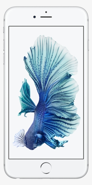 Apple Iphone 6s Plus - Iphone 6 Silver