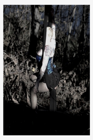 Photograph Of A Girl Seated In Aerial Silks Tissu Against - Silk