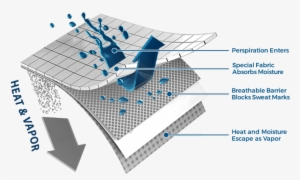 Advanced Technology Without Background Ngwear - Technology