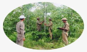 Central Dry Zone Of Myanmar Has Very Harsh Climatic - Infantry