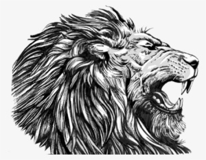 Welcome To Lix Creative - Masai Lion