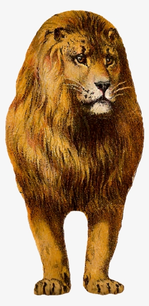 Free Digital Lion Clip Art Animal Graphic Front - Animal Lion