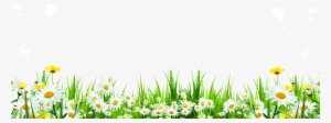 Svg Library Flower Download Icon Cute Flowers Roadside - Grass Daisy Transparent