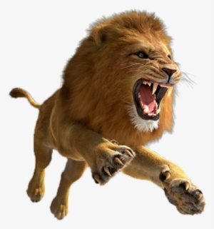 Lion Png