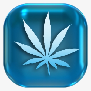 Marijuana Is Legalized In Canada - Gold Weed Leaf Sticker