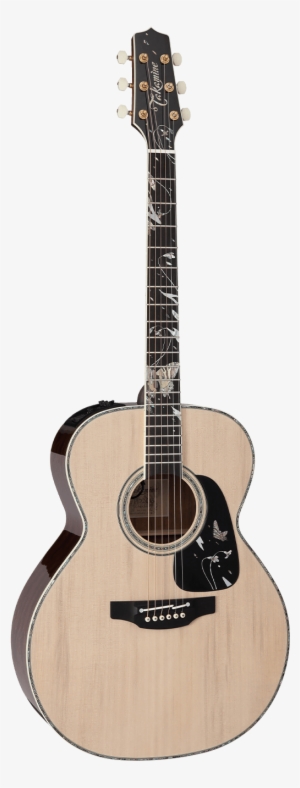 Each Year, Takamine Releases A Limited Edition Guitar - Martin And Co Gpcpa5