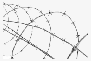 Transparent Background Barbed Wire Png
