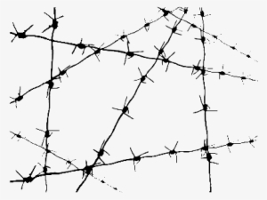 Barbed Wire
