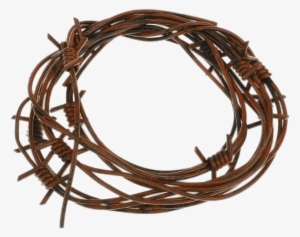 Barbed Wire Fake - Wire