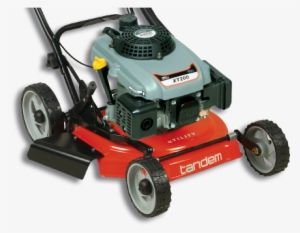 Lawnmowers To Suit Any Need Lawns Are As Unique As - Tandem Lawn Mower