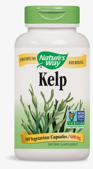 14508 - Kelp - Kelp Capsules