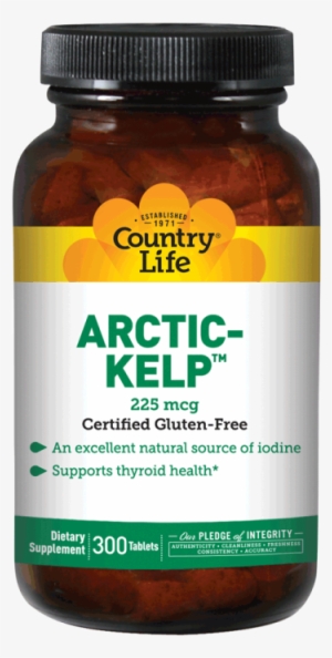 You Are Here - Country Life - Arctic-kelp 225 Mcg. - 300 Tablets