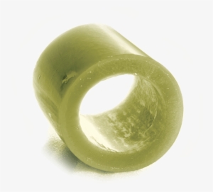 Giant Kelp From The Southern Tip Of Africa - Kelp Ecklonia Maxima