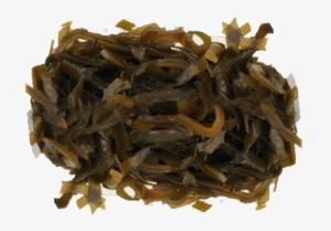Kelp - « - Da Hong Pao