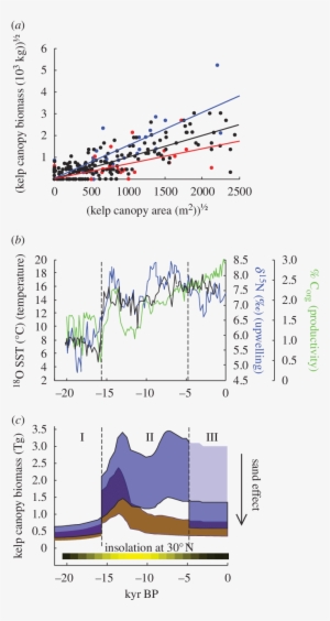 Reconstruction Of Kelp Forest Productivity Since The - Northern Pacific Kelp Forest On Map