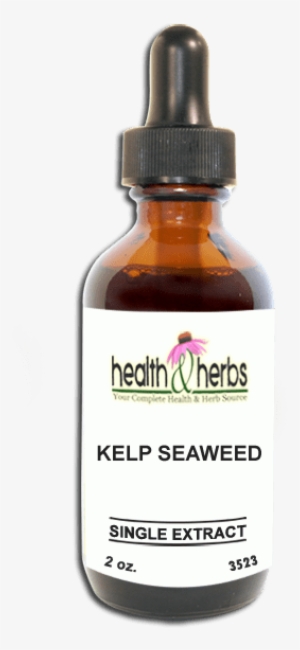 Aria Starr Argan Oil