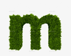 M - Grass Letter M Transparent