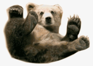 Grizzly Bear Polar Bear Alaska Peninsula Brown Bear - Grizzly Bear Png