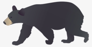 Black Bear Drawing - American Black Bear Drawing
