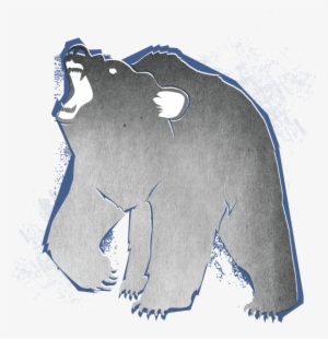 Spirit Bear - Mail Bag