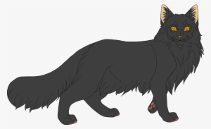 Shadowclan By Twistedfoot On Deviantart Picture Library - Dark Gray Cat With Yellow Eyes