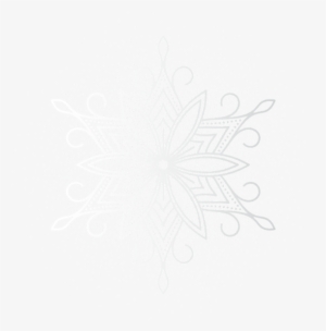 Vector Graphics