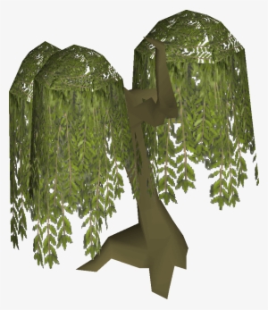 Willow Tree - Willow Tree Runescape
