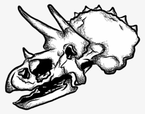 Svg Freeuse Download Claw Drawing Skull - Drawing