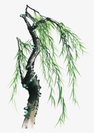 This Graphics Is Painted Willow Tree Element Design - 素材 柳樹