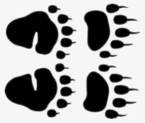 Tracks And Prints - Black Bear Paw Prints