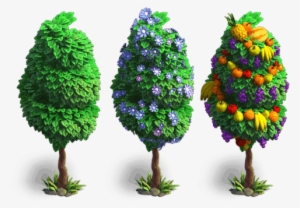 Fruit Tree Stages - Stages Of A Fruit Tree