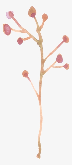 This Graphics Is Branch Fruit Transparent Decorative - Portable Network Graphics