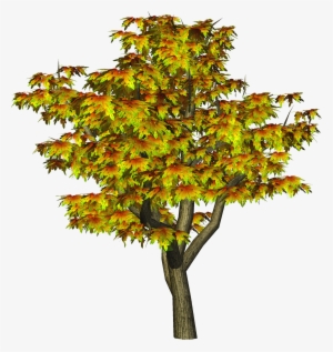 Autumn Tree Png Tree Clipart - Cb Editing All Png