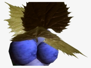 The Elder Scrolls Clipart Skyrim Png